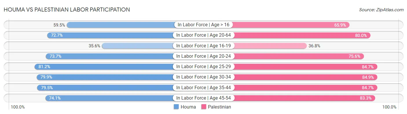 Houma vs Palestinian Labor Participation