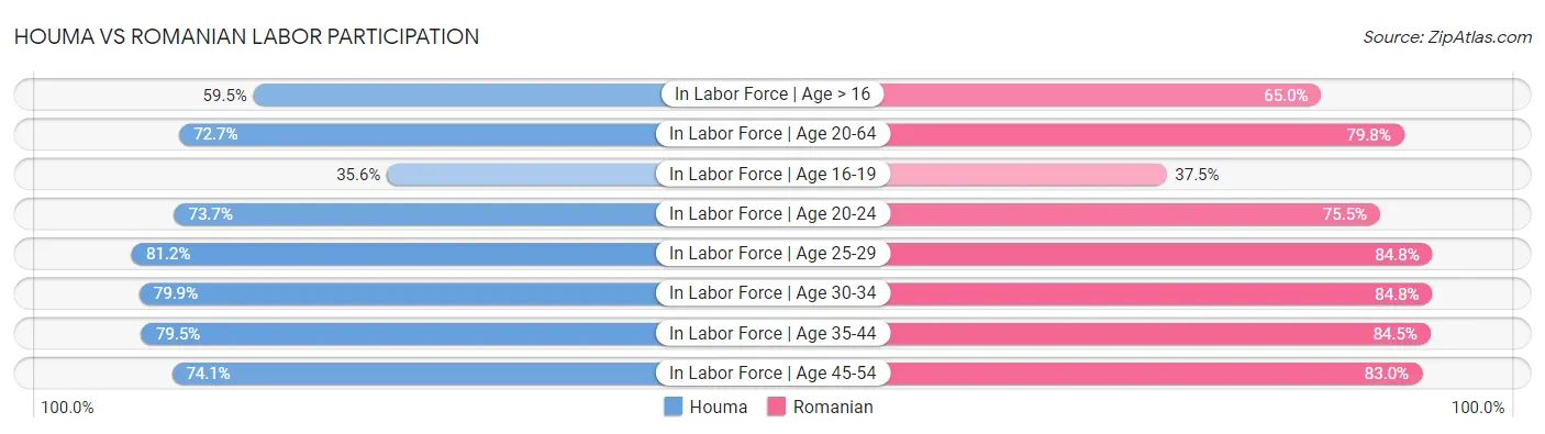 Houma vs Romanian Labor Participation