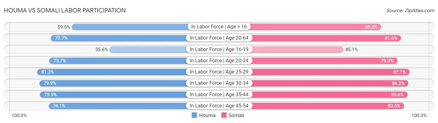 Houma vs Somali Labor Participation