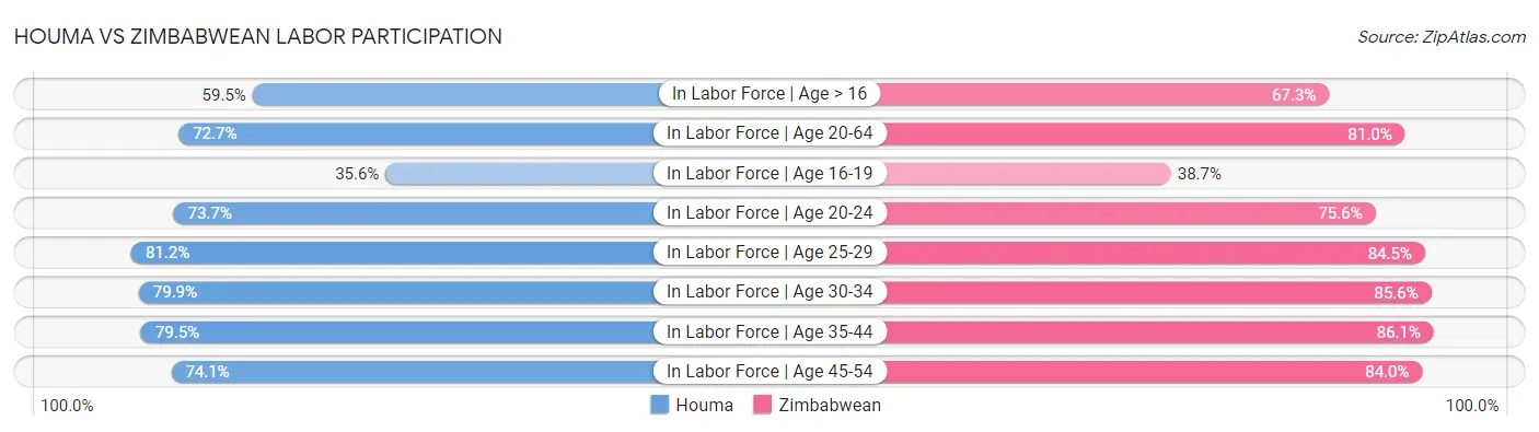 Houma vs Zimbabwean Labor Participation