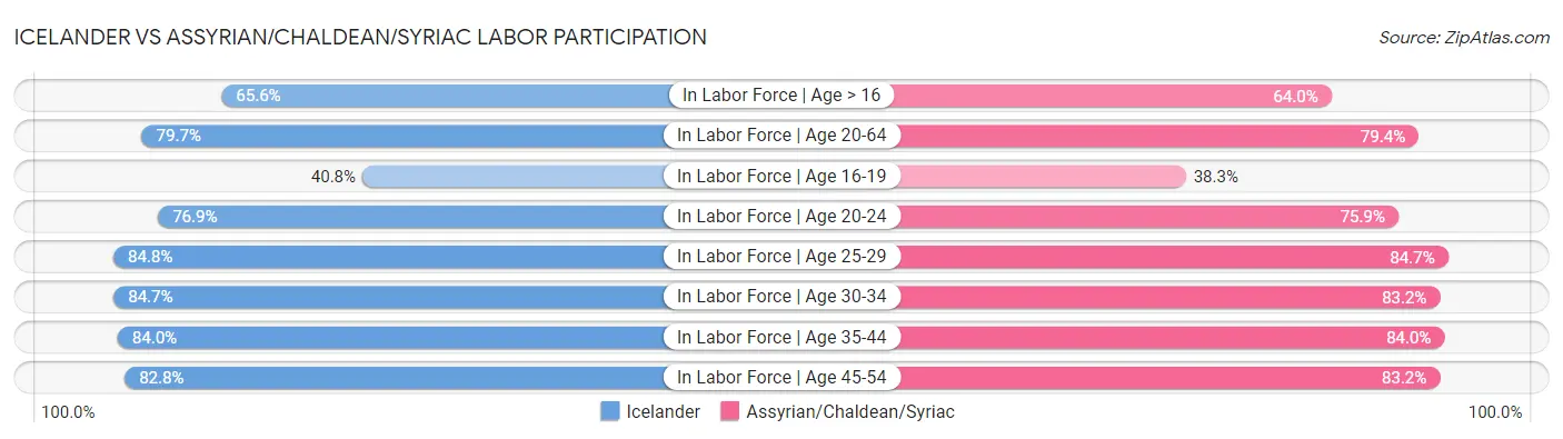 Icelander vs Assyrian/Chaldean/Syriac Labor Participation