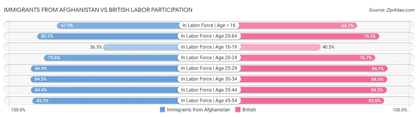 Immigrants from Afghanistan vs British Labor Participation