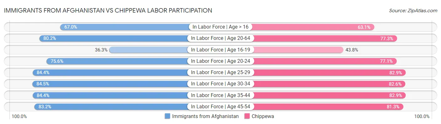 Immigrants from Afghanistan vs Chippewa Labor Participation