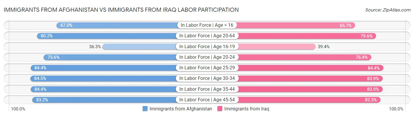 Immigrants from Afghanistan vs Immigrants from Iraq Labor Participation