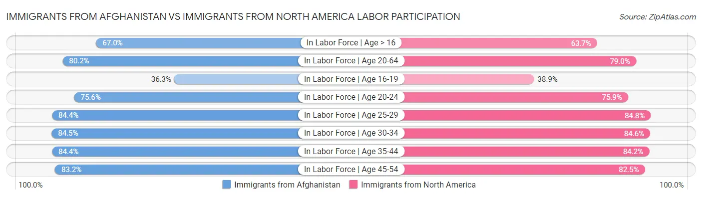 Immigrants from Afghanistan vs Immigrants from North America Labor Participation