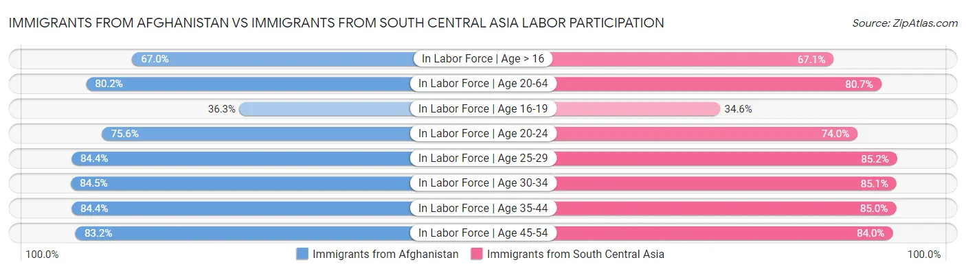 Immigrants from Afghanistan vs Immigrants from South Central Asia Labor Participation