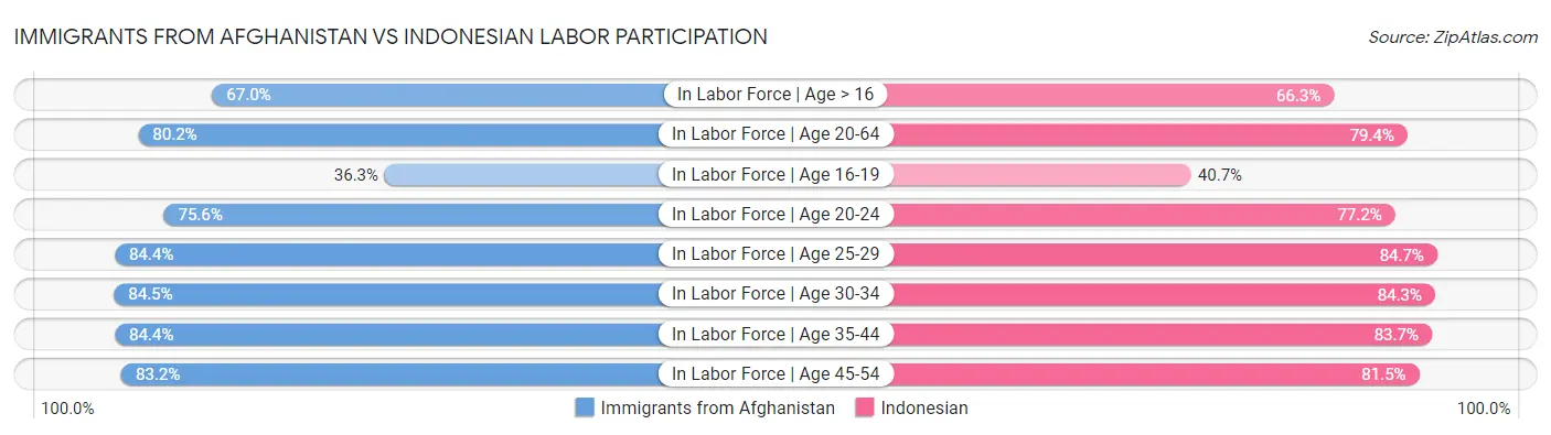 Immigrants from Afghanistan vs Indonesian Labor Participation