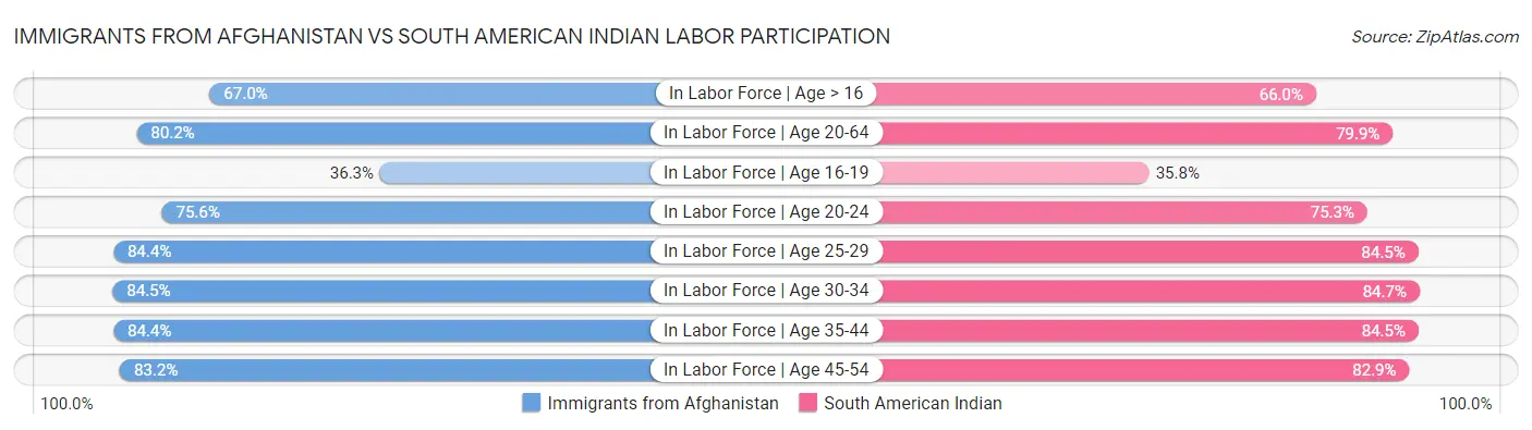 Immigrants from Afghanistan vs South American Indian Labor Participation