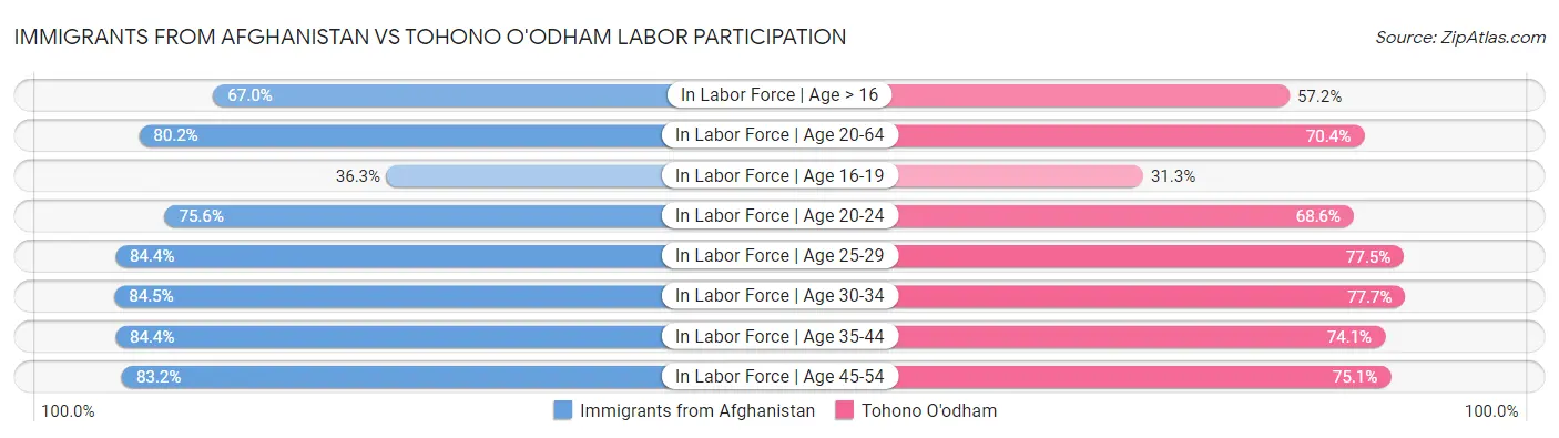 Immigrants from Afghanistan vs Tohono O'odham Labor Participation