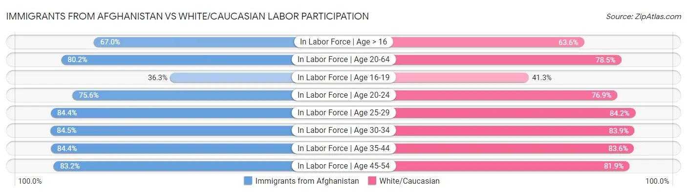 Immigrants from Afghanistan vs White/Caucasian Labor Participation