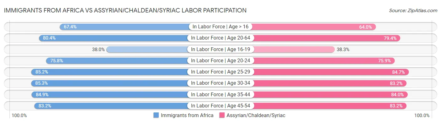 Immigrants from Africa vs Assyrian/Chaldean/Syriac Labor Participation