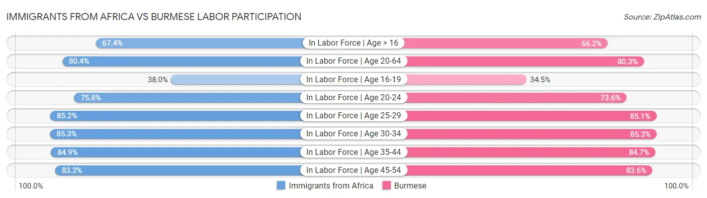 Immigrants from Africa vs Burmese Labor Participation