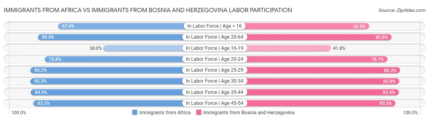 Immigrants from Africa vs Immigrants from Bosnia and Herzegovina Labor Participation