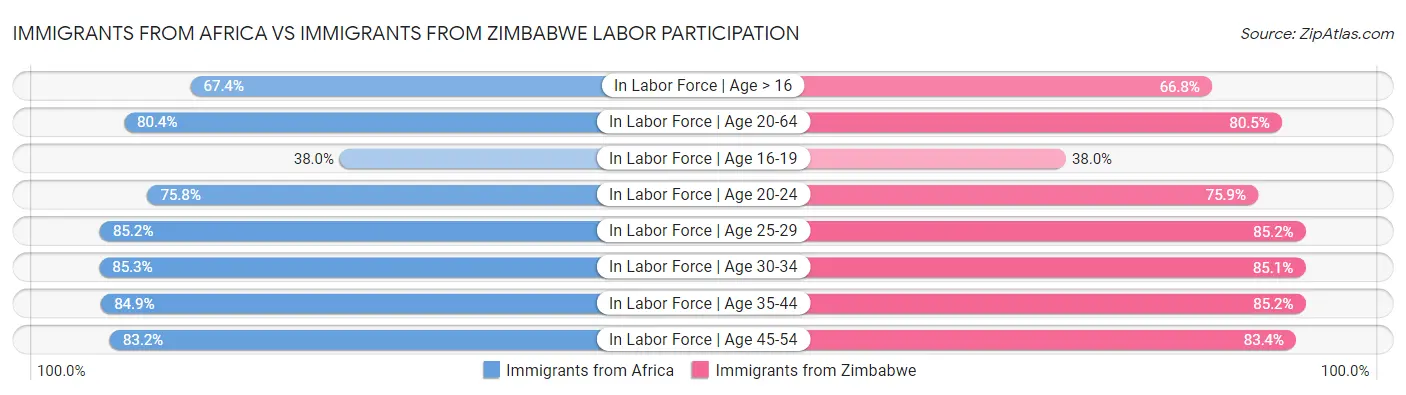 Immigrants from Africa vs Immigrants from Zimbabwe Labor Participation