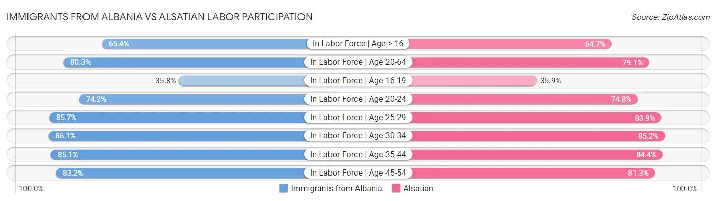 Immigrants from Albania vs Alsatian Labor Participation