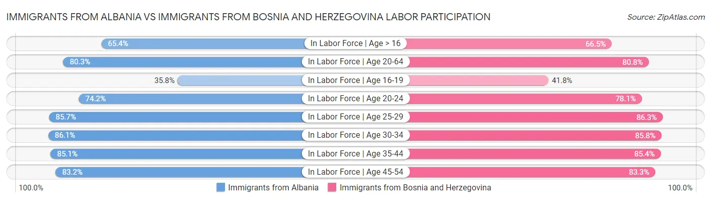 Immigrants from Albania vs Immigrants from Bosnia and Herzegovina Labor Participation