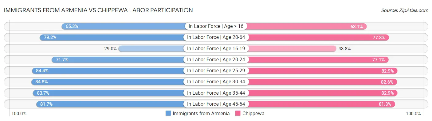 Immigrants from Armenia vs Chippewa Labor Participation