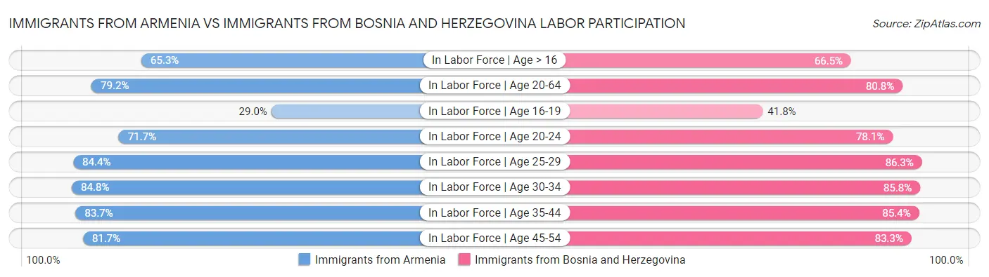 Immigrants from Armenia vs Immigrants from Bosnia and Herzegovina Labor Participation