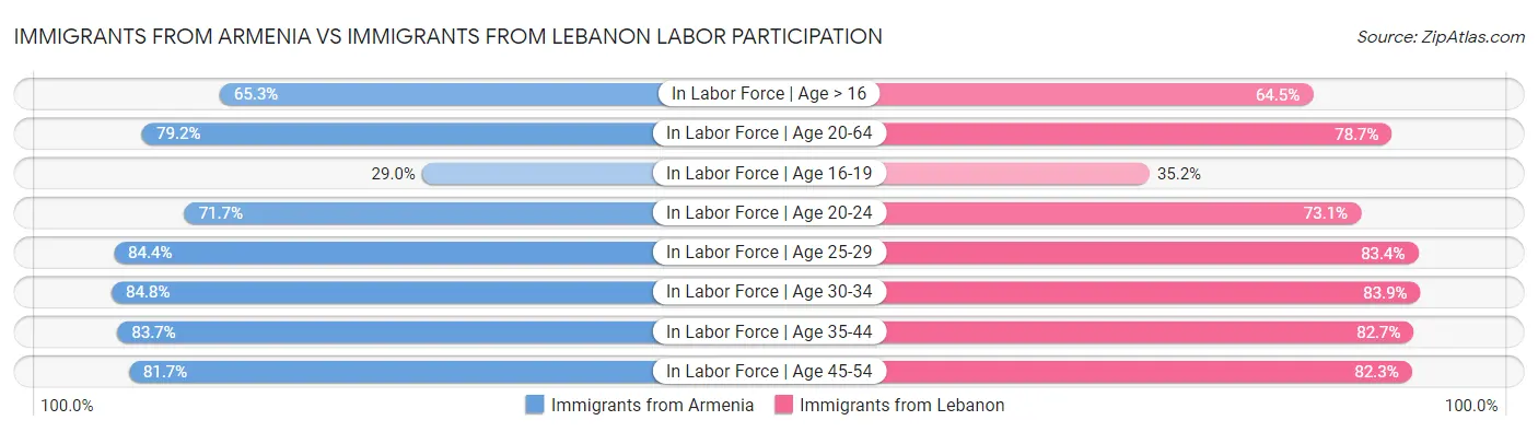Immigrants from Armenia vs Immigrants from Lebanon Labor Participation