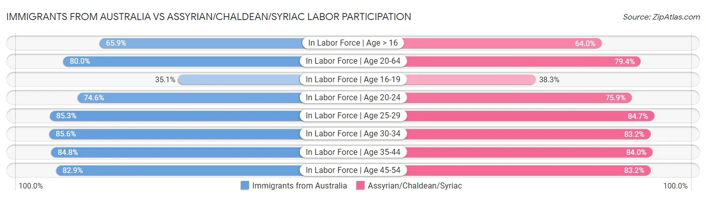 Immigrants from Australia vs Assyrian/Chaldean/Syriac Labor Participation