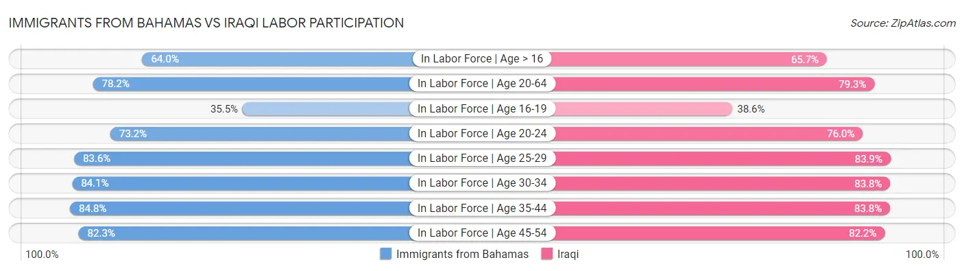 Immigrants from Bahamas vs Iraqi Labor Participation