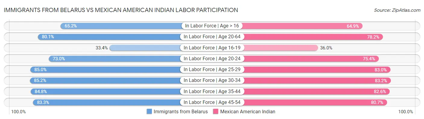 Immigrants from Belarus vs Mexican American Indian Labor Participation