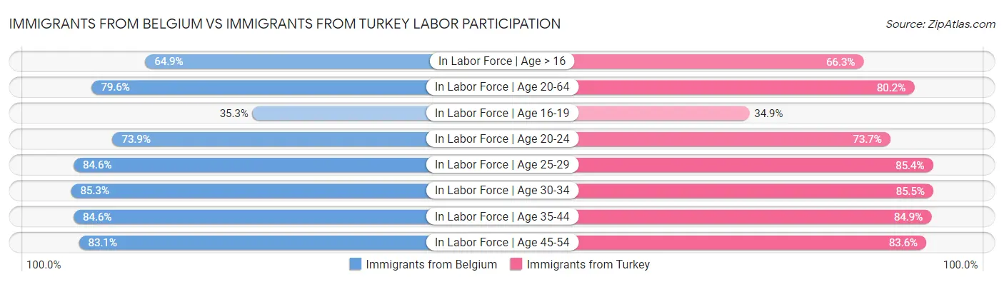Immigrants from Belgium vs Immigrants from Turkey Labor Participation