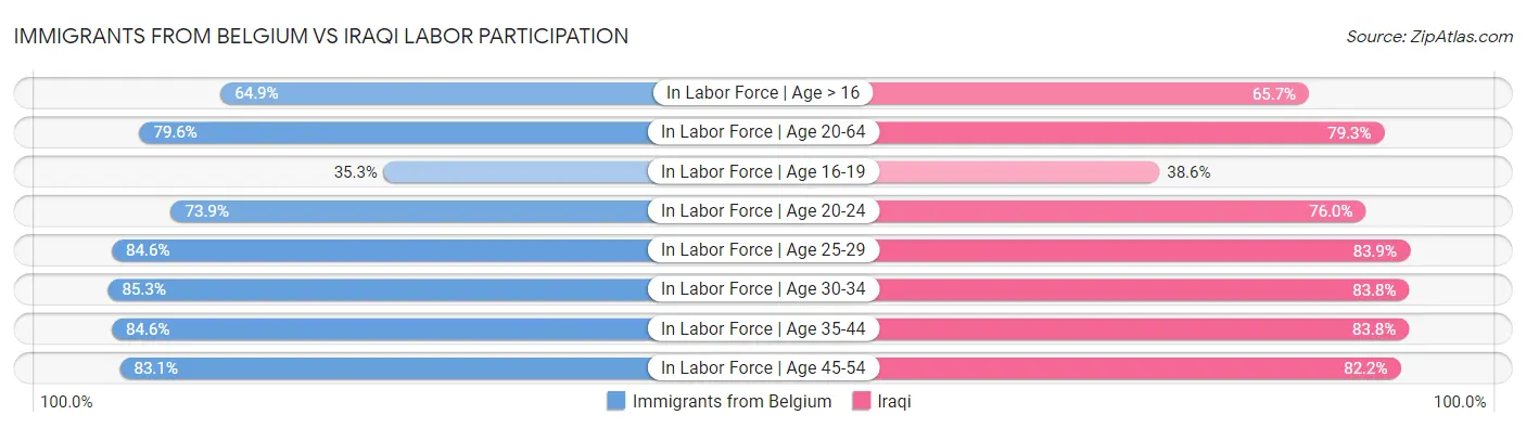 Immigrants from Belgium vs Iraqi Labor Participation