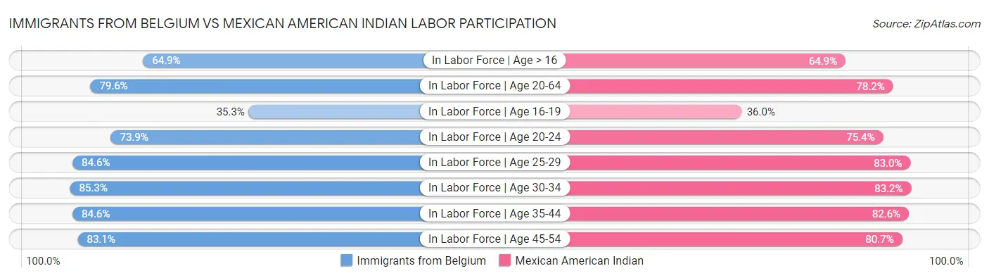Immigrants from Belgium vs Mexican American Indian Labor Participation