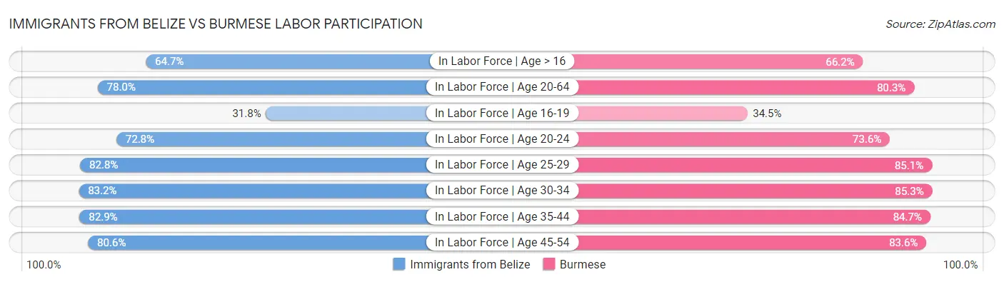 Immigrants from Belize vs Burmese Labor Participation