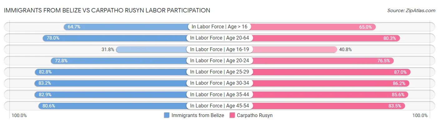 Immigrants from Belize vs Carpatho Rusyn Labor Participation
