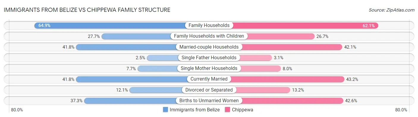 Immigrants from Belize vs Chippewa Family Structure