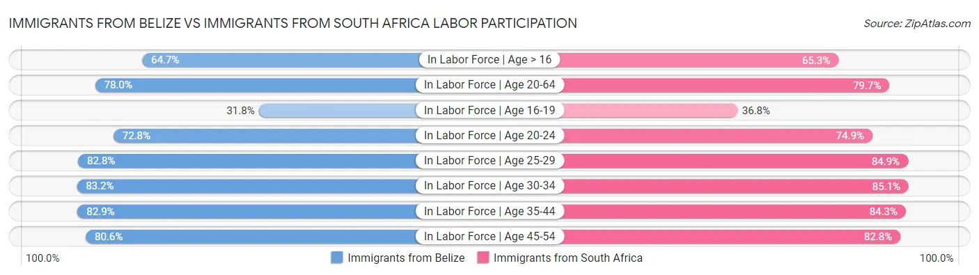 Immigrants from Belize vs Immigrants from South Africa Labor Participation