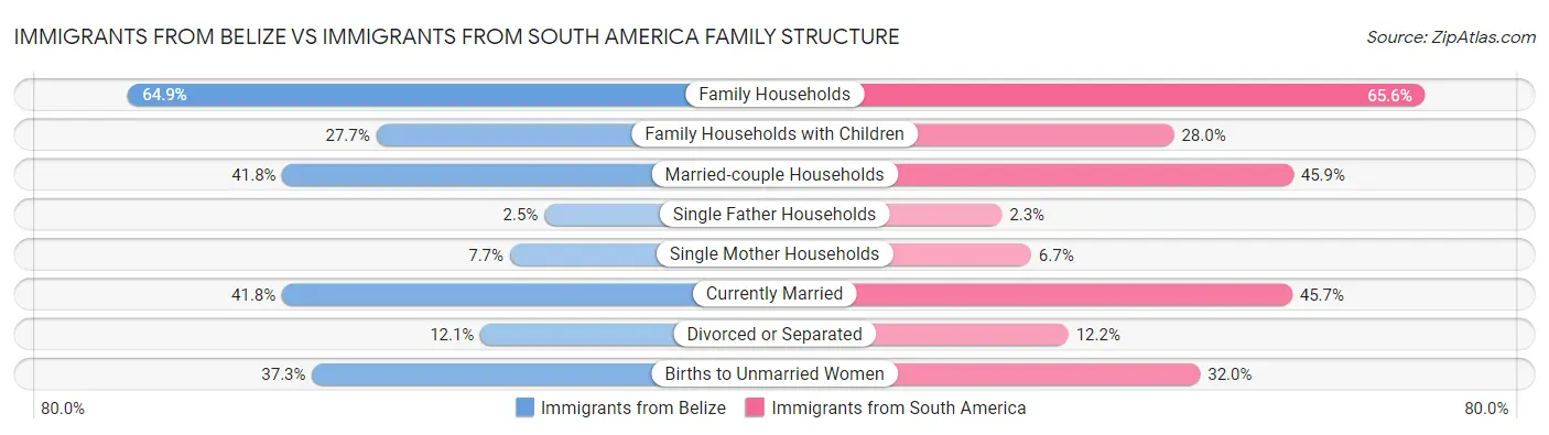 Immigrants from Belize vs Immigrants from South America Family Structure