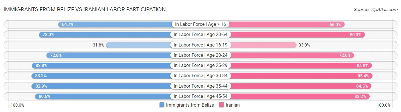 Immigrants from Belize vs Iranian Labor Participation