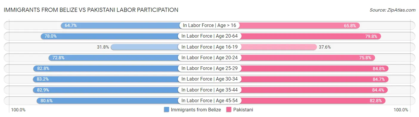 Immigrants from Belize vs Pakistani Labor Participation