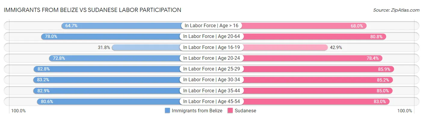 Immigrants from Belize vs Sudanese Labor Participation