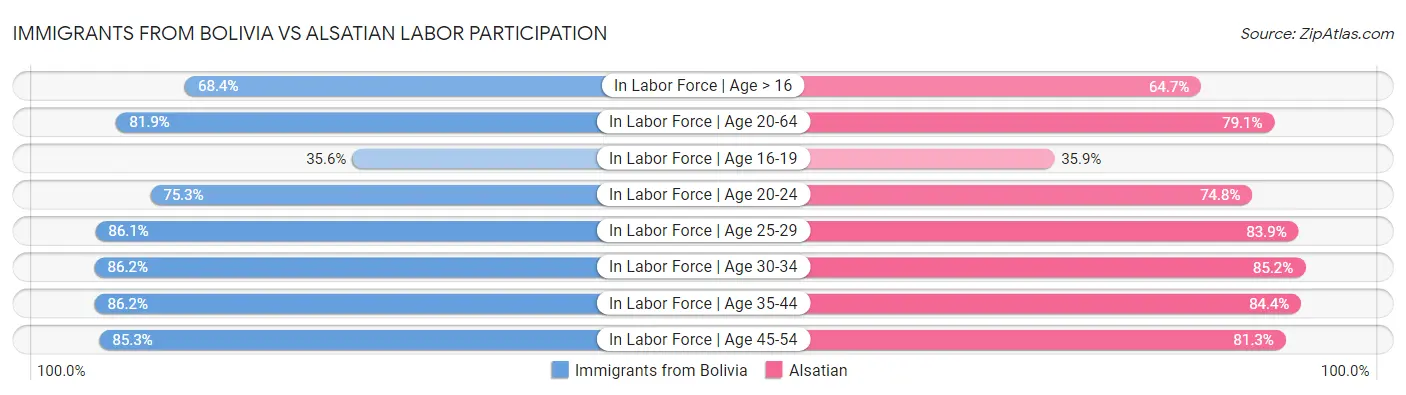 Immigrants from Bolivia vs Alsatian Labor Participation