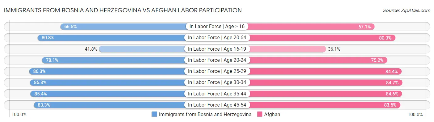 Immigrants from Bosnia and Herzegovina vs Afghan Labor Participation