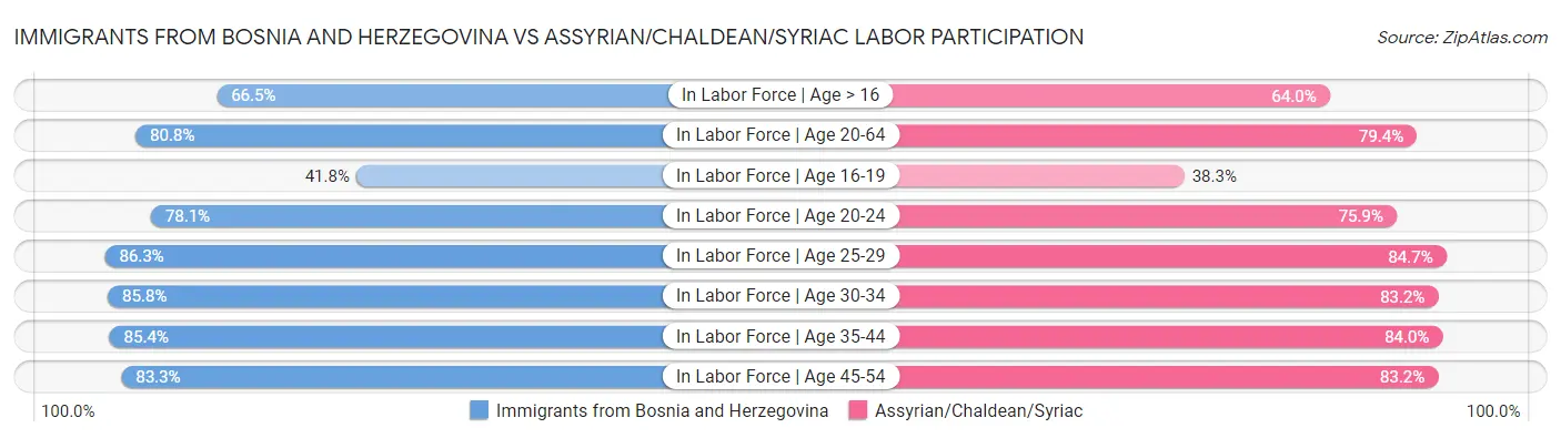 Immigrants from Bosnia and Herzegovina vs Assyrian/Chaldean/Syriac Labor Participation