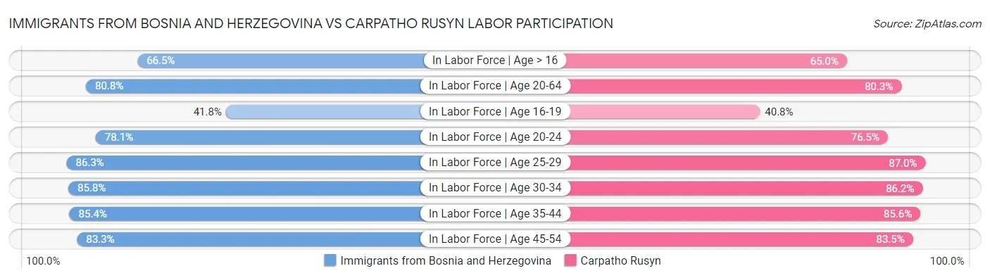 Immigrants from Bosnia and Herzegovina vs Carpatho Rusyn Labor Participation