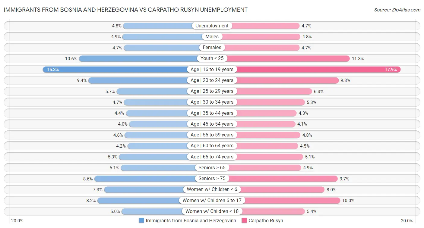Immigrants from Bosnia and Herzegovina vs Carpatho Rusyn Unemployment