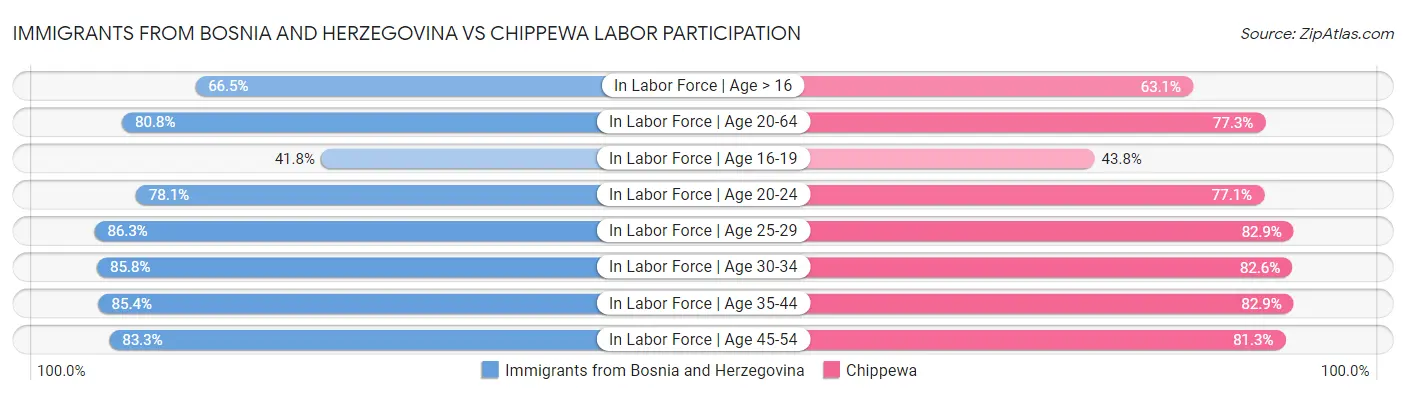 Immigrants from Bosnia and Herzegovina vs Chippewa Labor Participation