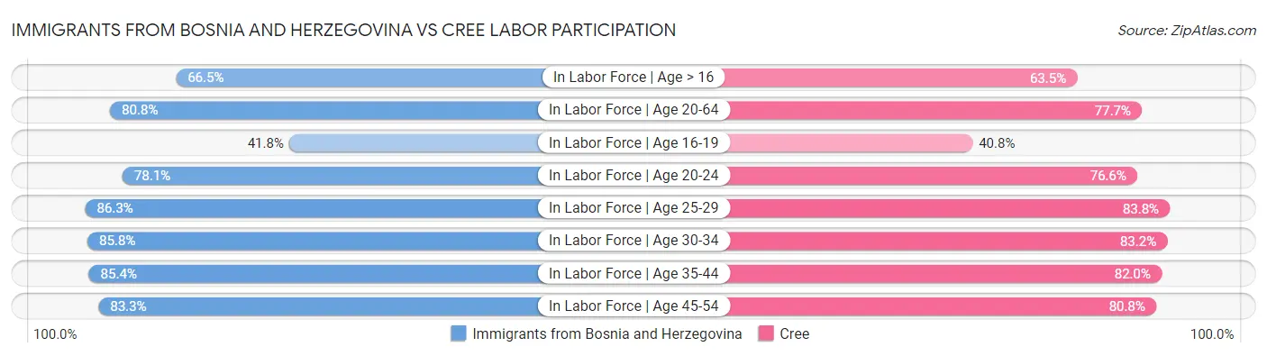 Immigrants from Bosnia and Herzegovina vs Cree Labor Participation