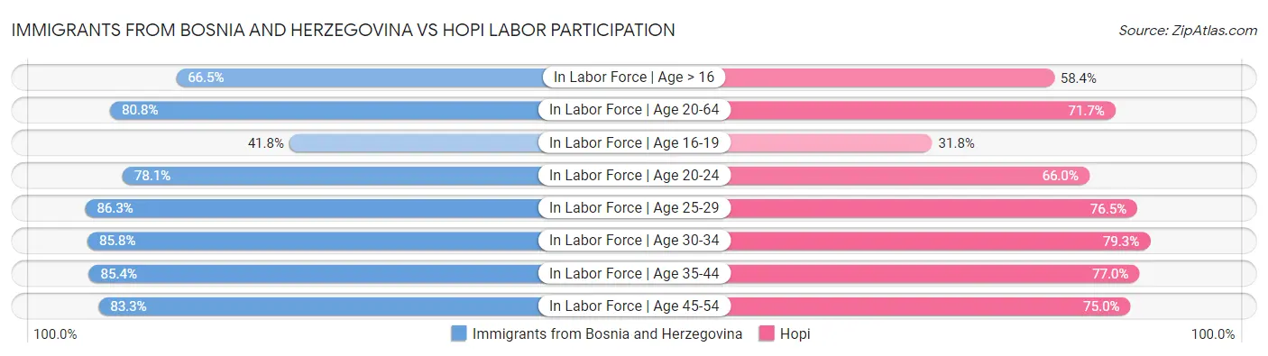 Immigrants from Bosnia and Herzegovina vs Hopi Labor Participation