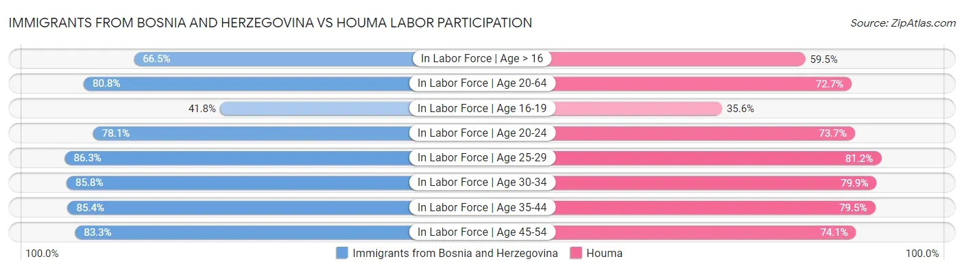 Immigrants from Bosnia and Herzegovina vs Houma Labor Participation