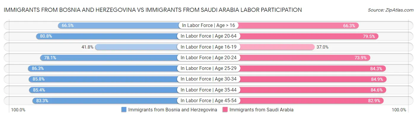 Immigrants from Bosnia and Herzegovina vs Immigrants from Saudi Arabia Labor Participation
