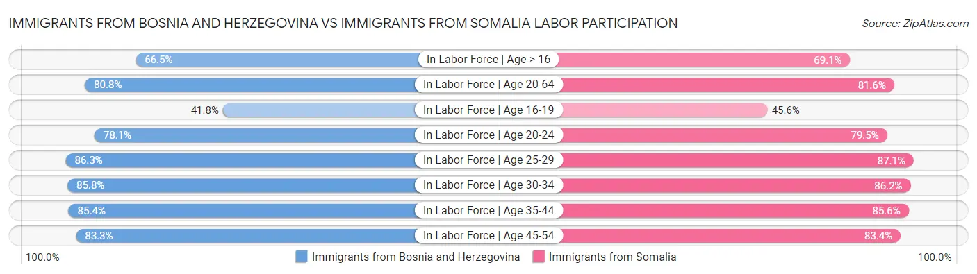 Immigrants from Bosnia and Herzegovina vs Immigrants from Somalia Labor Participation