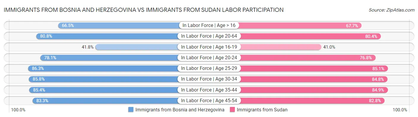 Immigrants from Bosnia and Herzegovina vs Immigrants from Sudan Labor Participation