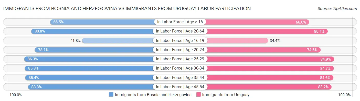 Immigrants from Bosnia and Herzegovina vs Immigrants from Uruguay Labor Participation